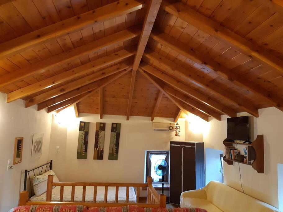 Kouros Villa! Paltsi Pilion Luaran gambar