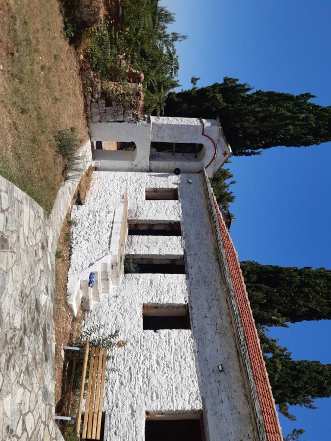 Kouros Villa! Paltsi Pilion Luaran gambar
